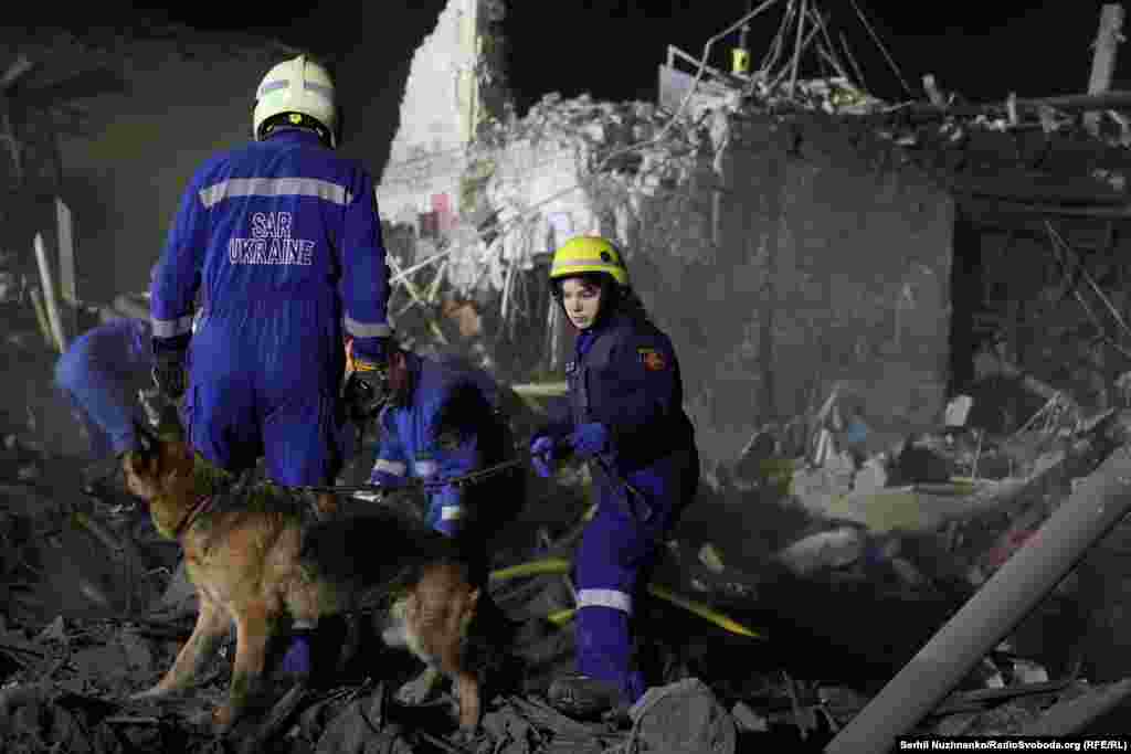 До пошукової операції долучили собак