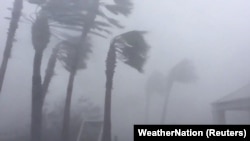 Напередодні через наближення урагану президент США Дональд Трамп оголосив надзвичайний стан у штаті Флорида