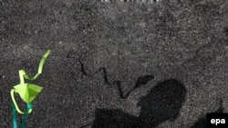 Kada porastu, suočavaju se s problemima kretanja i zaposšljavanjem