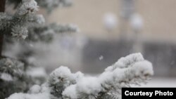 Иллюстрациялык сүрөт.