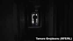 Иллюстрациялык сүрөт