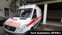 Иллюстрациялык сүрөт. 