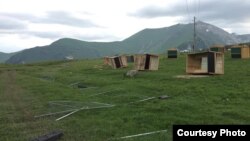 Группа местных жителей накануне разгромила территорию, выбранную для проведения фестиваля