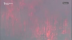 Požari doveli do vanrednog stanja u Novom Južnom Velsu