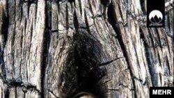 طرح جلد ترجمه فارسی «غول مدفون»