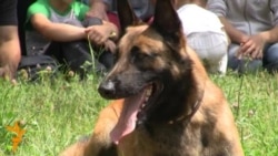 Право на жизнь