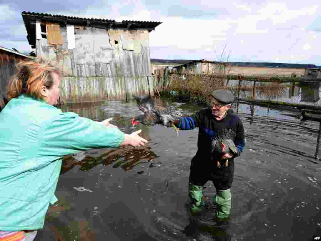 Белорусија - поплави