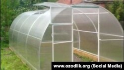 Иллюстративное фото.