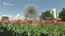 როცა შადრევნები შადრევნობს