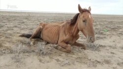 Табият кырсыктары дагы көбөйөт