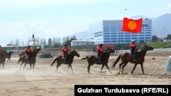 Кыргызстандын көкбөрү боюнча улуттук курама командасы.