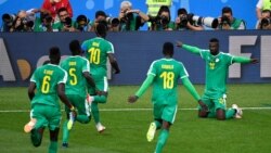 بررسی بازی‌های سنگال-لهستان، ژاپن-کلمبیا، و مصر-روسیه