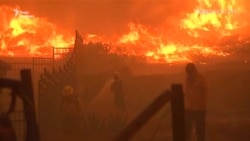 Від пожеж у Каліфорнії загинула щонайменше 31 людина – відео