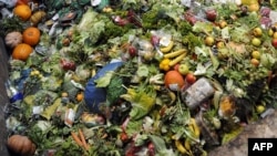 70 de kilograme de mâncare aruncă la gunoi românii în fiecare an. (Imagine de arhivă)