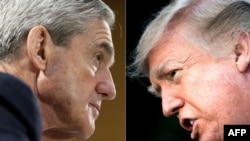 Robert Mueller (djathtas) dhe Donlad Trump.