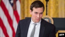 Жаред Кушнер