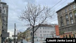 A Dresdner utca Bécsben 2020. november 17-én. A fotót egy Bécsben élő magyar készítette.