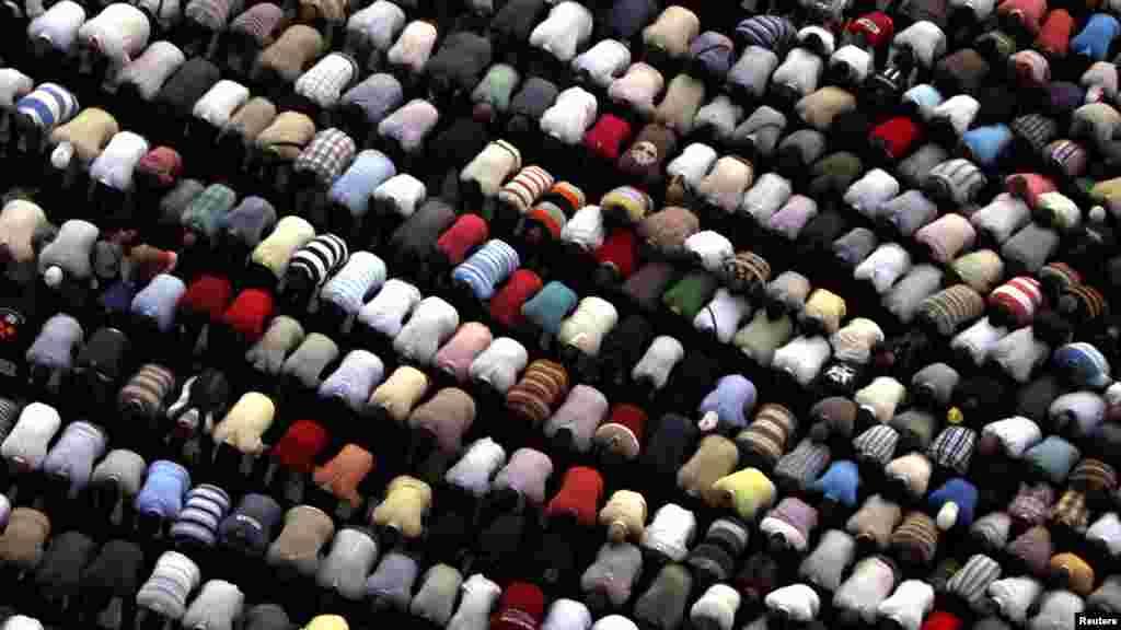 Шайлоодон кийинки намазга жыгылуу. Каирдин Тахрир аянты, 19 маусым 2012 жыл