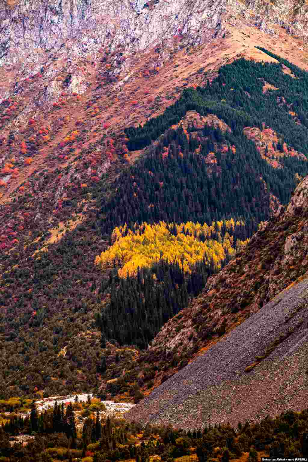 Саратандуу маанай күтүп жүрсөк биз Сары убайым санаа болуп келди күз, Суз ойлорду &laquo;дуу&raquo; учуруп үркүтүп. Сүйгүм келди мен бирөөнү күтүүсүз. (Зинакан Пасаңова)