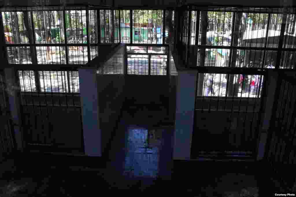 محوطه ساخته شده نگهداری از زوج شیر ایرانی در باغ وحش تهران