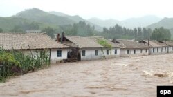 (ілюстраційне фото)