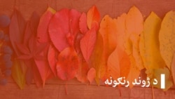 سهارنۍ خبري مجله او د ژوند رنګونه