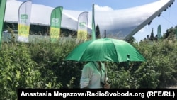 Під час з'їзду партії «Слуга народу» в ботанічному саду в Києві у червні 2019 року, на якому було оголошено імена кандидатів у народні депутати на позачергових виборах