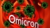 «Омікрон» стане провідним штамом COVID-19 у Данії та Норвегії вже цього тижня, прогнозують фахівці