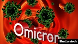 «Омікрон» стане провідним штамом COVID-19 у Данії та Норвегії вже цього тижня, прогнозують фахівці