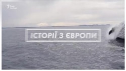 Вбивство китів. Чому Ісландія щороку вбиває 161 тварину? (відео)