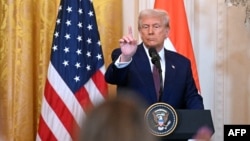 Перед цим Трамп заявив, що його розмова з російським президентом Володимиром Путіним пройшла «дуже добре»