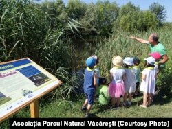 În Parcul Natural Văcărești, elevii din București pot vedea „pe viu” ce învață la orele de botanică.