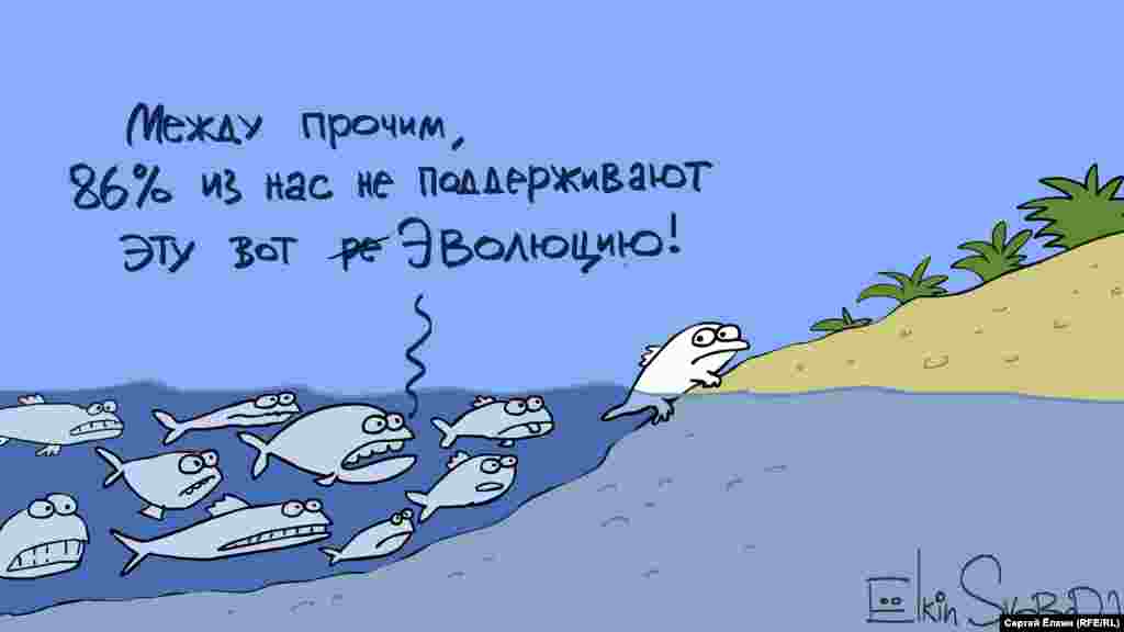 Автор: Сергій Йолкін