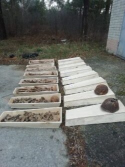 В Ровненской области были найдены останки еще шестерых солдат.