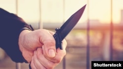 Illýustrasiýa suraty