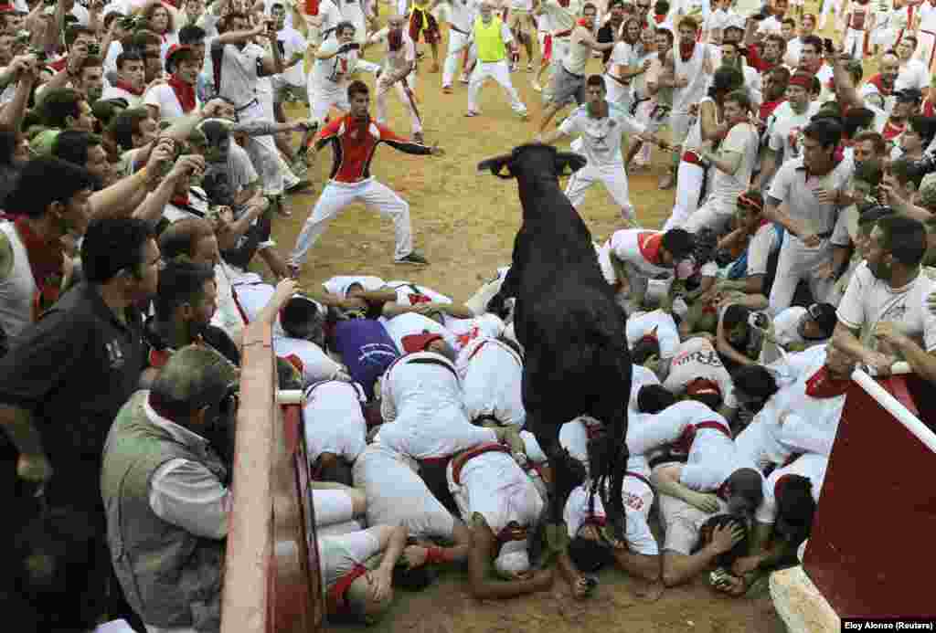 Španija - Tradicionalni festival utrka sa bikovima, Pamplona, 8. juli 2013. Foto: REUTERS / Eloy Alonso 