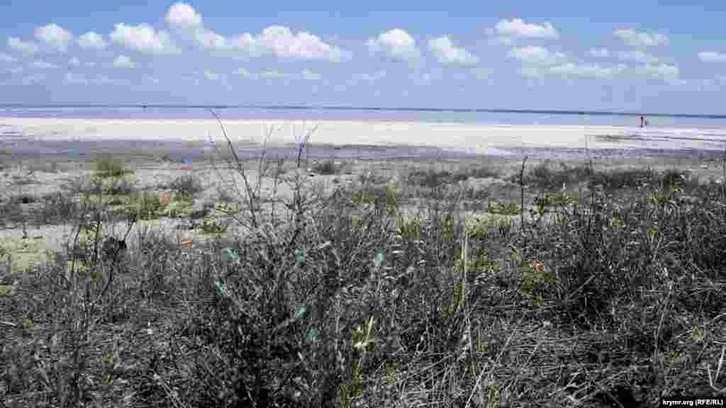 Вокруг озера образовываются солончаки