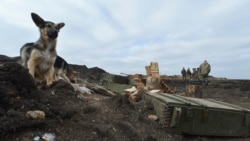 Rusia a refuzat să participe la discuțiile OSCE despre Ucraina