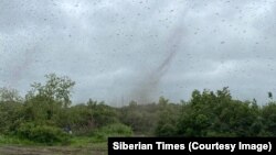 Russia -- swarms of mosquitos forming in Kamchatka