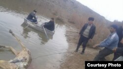 Туши несколько ослов обнаружили в самом водоеме.