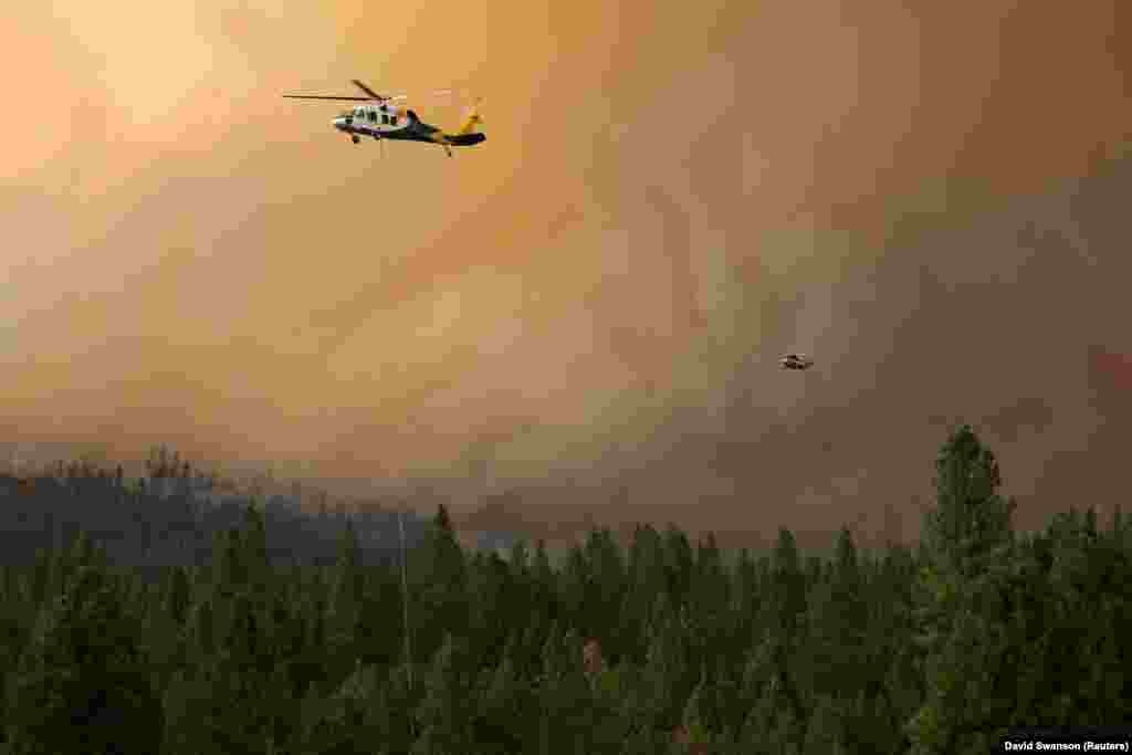 Helikopterët e Shërbimit Pyjor të Shteteve të Bashkuara duke u angazhuar për frenimin e përhapjes së zjarrit &quot;Dixie&quot;, në Kaliforni. (31 korrik)