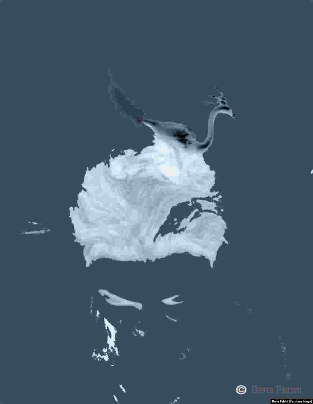 Die Farbige (Doamna de culoare), digital print (2014)