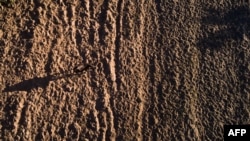 Posledica suše usled El Ninja u Zimbabveu, 17. maj 2024.