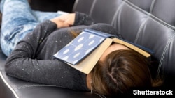 Иллюстрациялык сүрөт.