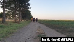 Migranti na srpsko-rumunskoj granici kod sela Majdan, avgust 2021.