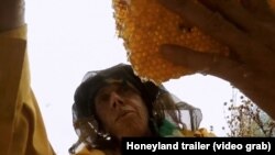 Сцена од филмот Медена земја