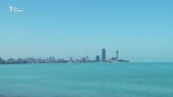 Будни батумского дельфинария