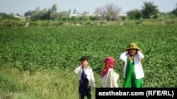 Түркмөнстандагы пахта талаасындагы балдар. 