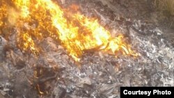 Специалисты самаркандской СЭС сожгли скелеты и туши обнаруженных у водоема ослов.