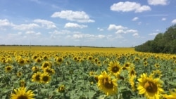 Cum este afectată Republica Moldova de schimbările climatice și ce poate face pentru a le preveni